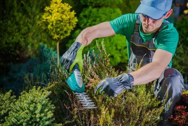 landscaping services North Seekonk